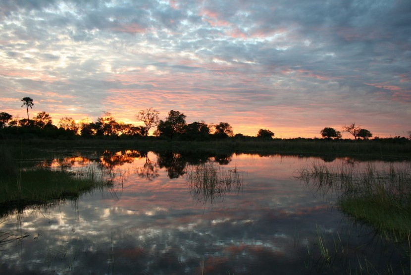 Matahari terbenam di Delta Okavango di Botswana.