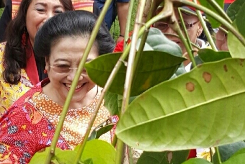 Megawati di Kebun Raya Bedugul, Sabtu (6/8).