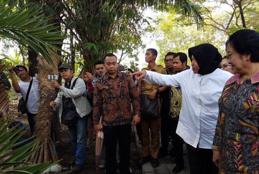 Megawati saat meninjau Kebun Bibit Wonorejo di Surabaya, Jawa Timur, Senin (11/9).