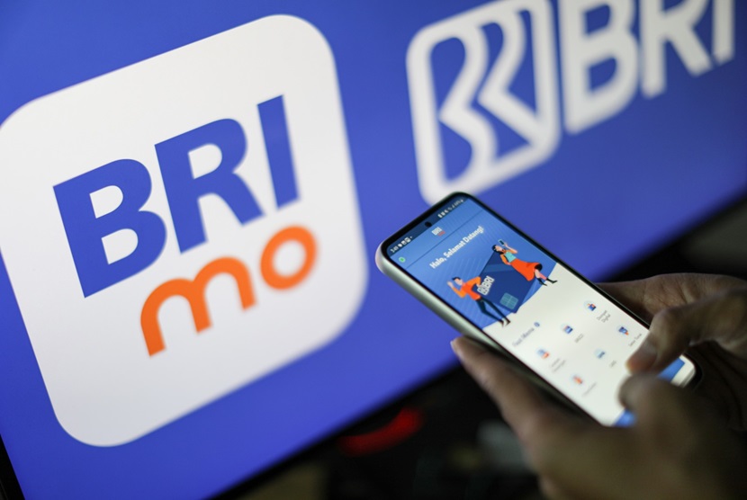 View of BriMo app.