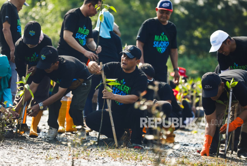 Ahmad Luthfi Pimpin Penanaman Jutaan Bibit Mangrove Secara Serentak, Catatkan Rekor Muri