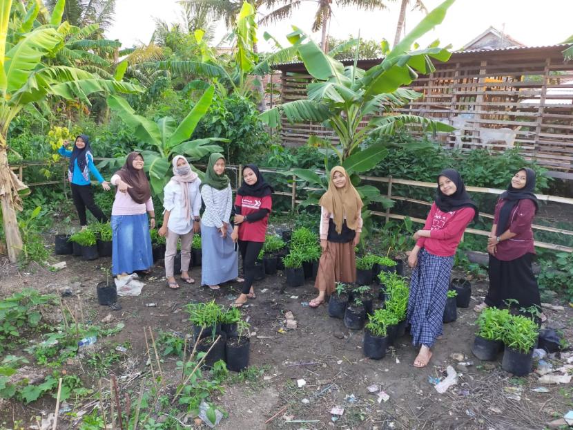 Melalui pendampingan oleh Relawan Rumah Zakat dan bimbingan dari PPS Cikarang Utara yaitu Syamsuri, program menanam sayuran di polybag terus berjalan. Seperti yang dilakukan pada Rabu (8/7), relawan membagikan sebanyak 8-10 pot tanaman kepada 8 orang petani muda milenial.