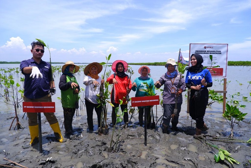 Melalui program CSR SiCepat Peduli, SiCepat Ekspres menanam bibit pohon mangrove tersebut pada Rabu (7/3/2023) di kawasan Pantai Cemara Sawojajar, Kabupaten Brebes, Jawa Tengah. 