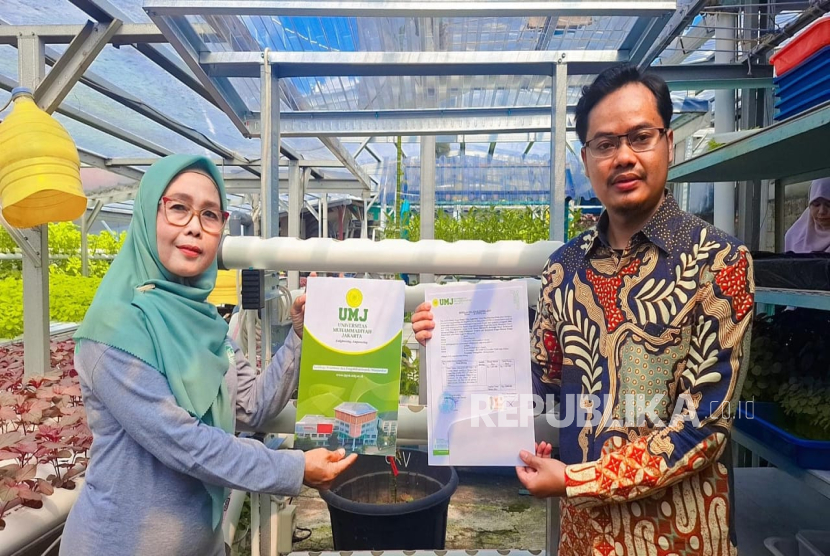 Melalui program pengabdian kepada masyarakat, UMJ memberikan bantuan panel surya bagi pelaku UMKM hidroponik. 