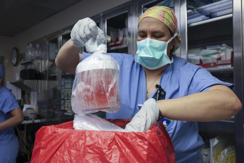 Melissa Mattola-Kiatos, RN, spesialis praktik keperawatan, mengeluarkan ginjal babi dari kotaknya untuk persiapan transplantasi di Rumah Sakit Umum Massachusetts, 16 Maret 2024, di Boston. Richard Slayman, penerima pertama transplantasi ginjal babi yang dimodifikasi secara genetik, telah meninggal hampir dua bulan setelah dia menjalani prosedur tersebut, kata keluarga dan rumah sakit yang melakukan operasi tersebut pada Sabtu, 11 Mei.