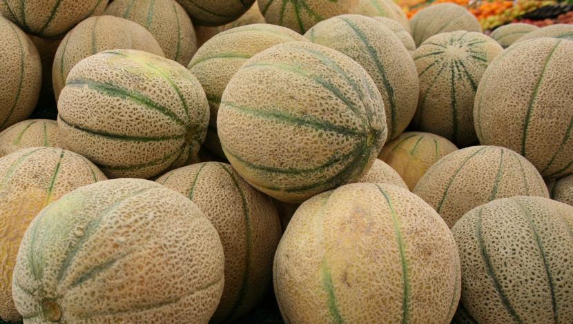 Buah blewah merupakan jenis melon yang kaya akan gizi.
