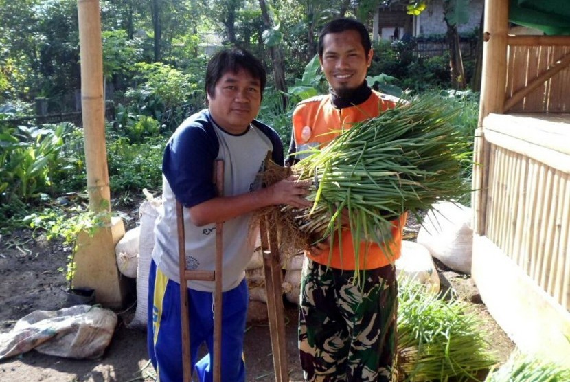 Member Difabel Rumah Zakat, Budidayakan Bawang