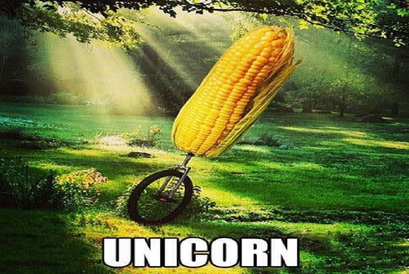 Meme unicorn yang banyak dibagikan di medsos