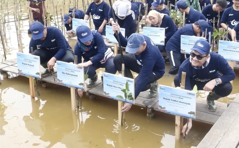 Memperingati hari pohon sedunia Badan Pengelola Keuangan Haji (BPKH) melakukan penanaman sebanyak 300 tanaman mangrove. Penanaman tersebut dilakukan di kawasan ekowisata, PIK.