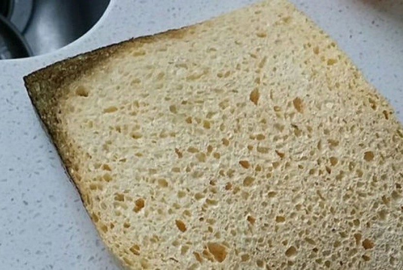 Menebak spons atau roti, kini menjadi gambar yang viral di media sosial