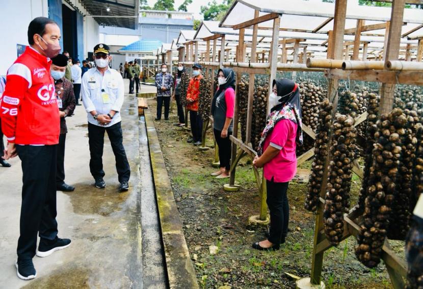 Mengikuti petunjuk Presiden, Mentan Syahrul berkomitmen untuk mendukung pengembangan pinang di berbagai wilayah termasuk Jambi.