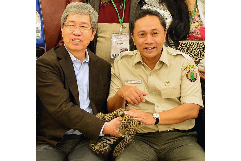 Menhut Zulkifli Hasan (kanan)  mengelus macan tutul jawa didampingi pimpinan TSI Tony Sumampouw 