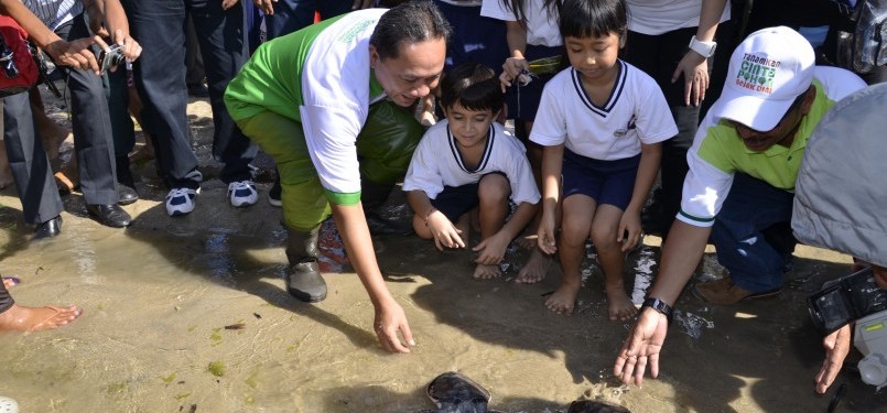 Menhut Zulkifli Hasan (baju hijau, kiri), saat melepas Tukik di Sanur, Bali, Sabtu (19/11).