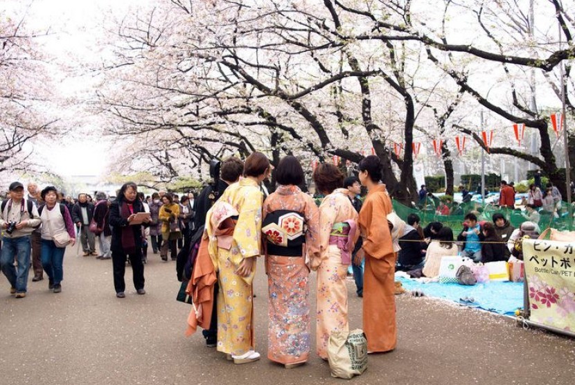 Menikmati bunga Sakura di Taman Ueno