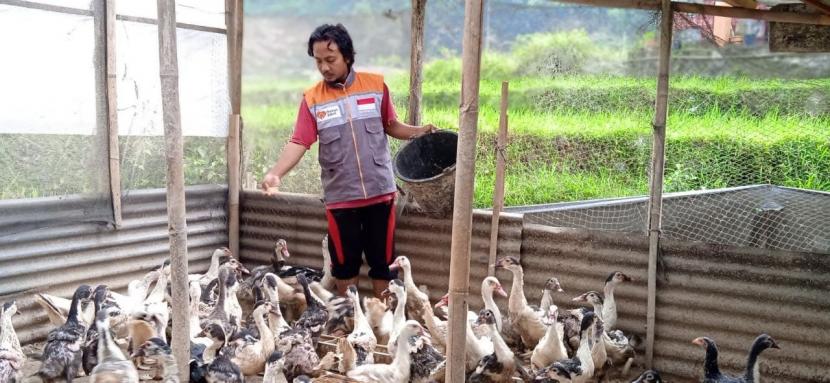 Menjadi seorang pengusaha sudah tentu mempunyai harapan usahanya menjadi berkembang dan mempunyai omzet yang selalu meningkat. Begitu juga dengan Misro yang merupakan anggota kelompok Unggas Java Jago Farm binaan Rumah Zakat di Desa berdaya Bumiroso, Wonosobo Jawa Tengah.