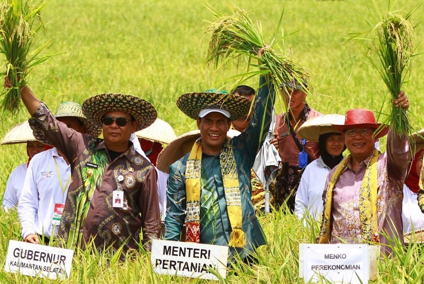 Menko Perekonomian Darmin Nasution (kanan) bersama Menteri Pertanian Andi Amran Sulaiman (tengah) dan Gubernur Kalimantan Selatan Sahbirin Noor (kiri) memanen padi ketika menghadiri puncak peringatan Hari Pangan Sedunia (HPS) ke-38 di Jejangkit, Kabupaten Batola, Kalimantan Selatan, Kamis (18/10/2018). 