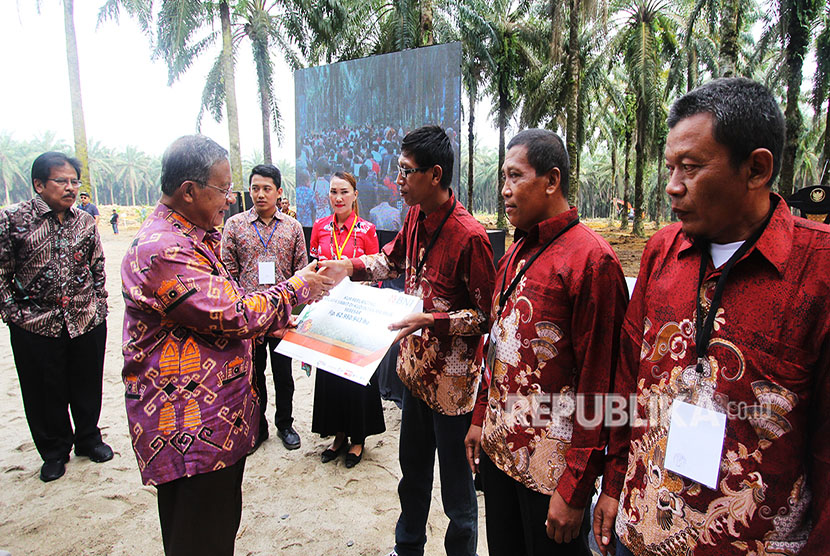 Menko Perekonomian Darmin Nasution (kedua kiri) disaksikkan Menteri ATR/Kepala BPN Sofyan Djalil (kiri) menyerahkan secara simbolis dana Kredit Usaha Rakyat (KUR) kepada pengurus koperasi saat peresmian Program Peremajaan Kebun Sawit Rakyat di Desa Pelita, Kecamatan Bagan Sinembah, Rokan Hilir, Riau, Rabu (9/5).