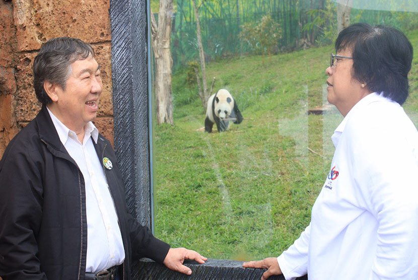 MenLHK Siti Nurbaya Bakar mengunjungi Istana Panda Indonesia (IPI) didampingi Direktur Utama Taman Safari Indonesia, Jansen Manansang.