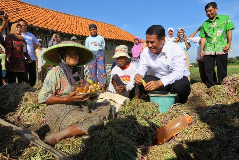 Mentan Amran Sulaiman berbincang bersama petani