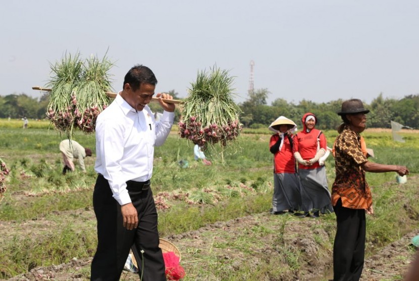 Mentan Andi Sulaiman panen bawang merah di Kabupaten Bresbes, Jawa Tengah