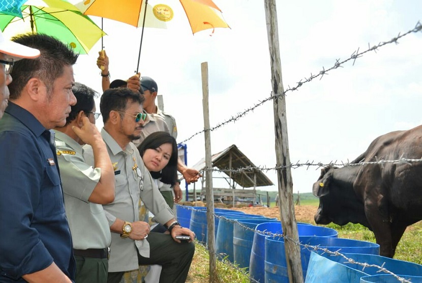 Mentan Syahrul Yasin Limpo juga menyampaikan bahwa upaya peningkatan populasi, produksi dan produktivitas ternak harus dilakukan secara lebih masif dan cerdas.