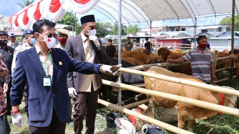 Mentan Syahrul Yasin Limpo saat saat menghadiri Panen Pedet di Kabupaten Sinjai, Sulawesi Selatan (Sulsel), Kamis (30/7).