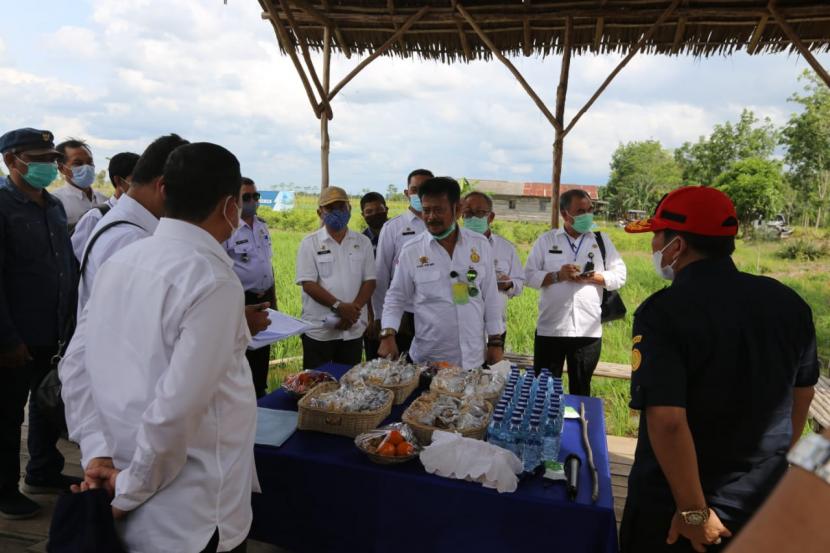 Mentan Syahrul Yasin Limpo (SYL) saat mengunjungi lahan pengembangan Food Estate di Blanti Siam, Kabupaten Pulang Pisau, Kalteng, Rabu (16/12).
