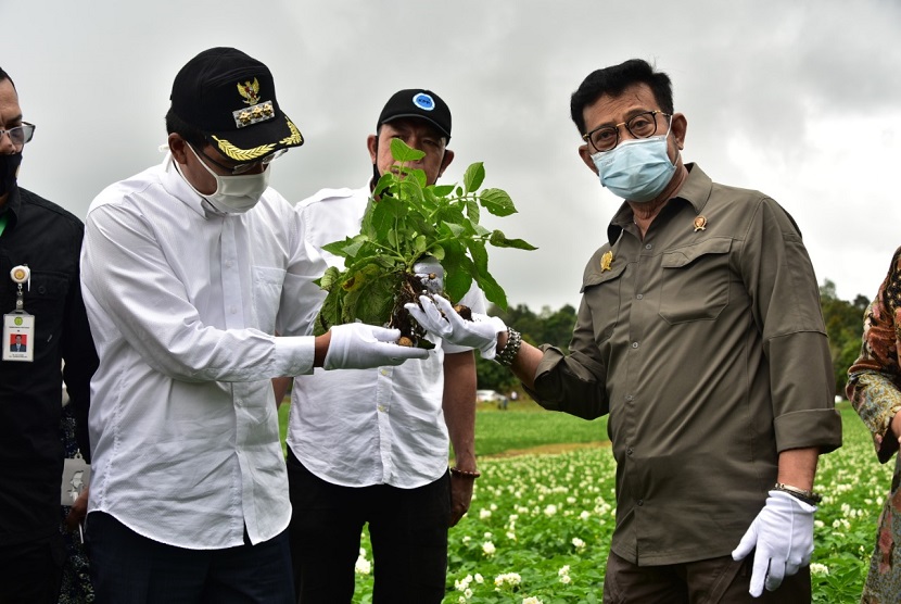 Mentan SYL juga berkesempatan panen bawang bersama Sekretaris Daerah Provinsi Sumatera Utara, R Sabrina dan Bupati Humbang Hasundutan, Dosmar Banjarnahor di Desa Parulohan.