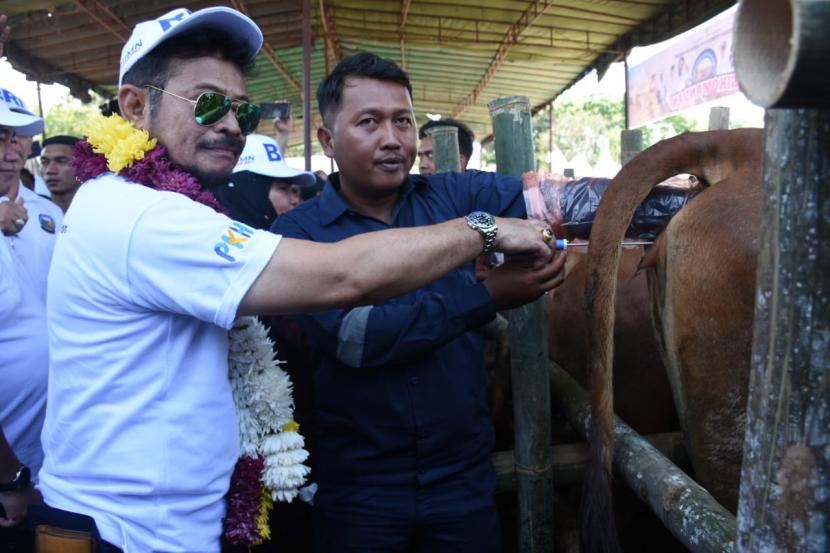 Mentan SYL mengatakan bahwa upaya peningkatan populasi sapi dan kerbau lokal melalui Sikomandan merupakan salah satu bagian komitmen pemerintah untuk mengurangi dominasi impor daging sapi dan kerbau di Indonesia.