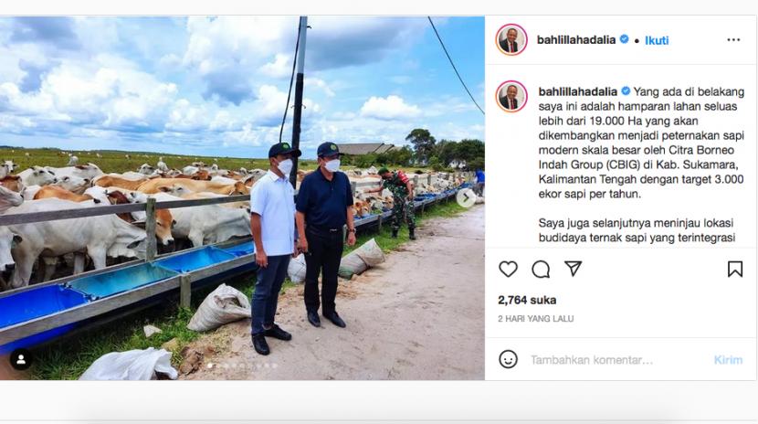 Menteri Bahlil Lahadalia mengunggah kunjungannya ke peternakan sapiCBI Gropu di akun instagram @bahlillahadalia.