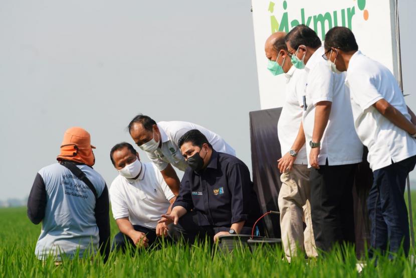 Menteri BUMN Erick Thohir (keempat kiri) berdialog dengan petani saat melakukan kunjungan ke area persawahan di Subang, Jawa Barat, Sabtu (28/8). Dalam kunjungannya tersebut, Menteri BUMN meluncurkan Program Makmur dari Pupuk Indonesia untuk petani. 