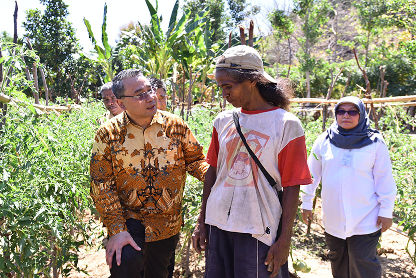 Menteri Desa dan Bupati Belu meninjau ladang pertanian Tomat, Bawang dan Wortel di Desa Silawan, Kecamatan Tasifeto Timur kabupaten Belu - NTT