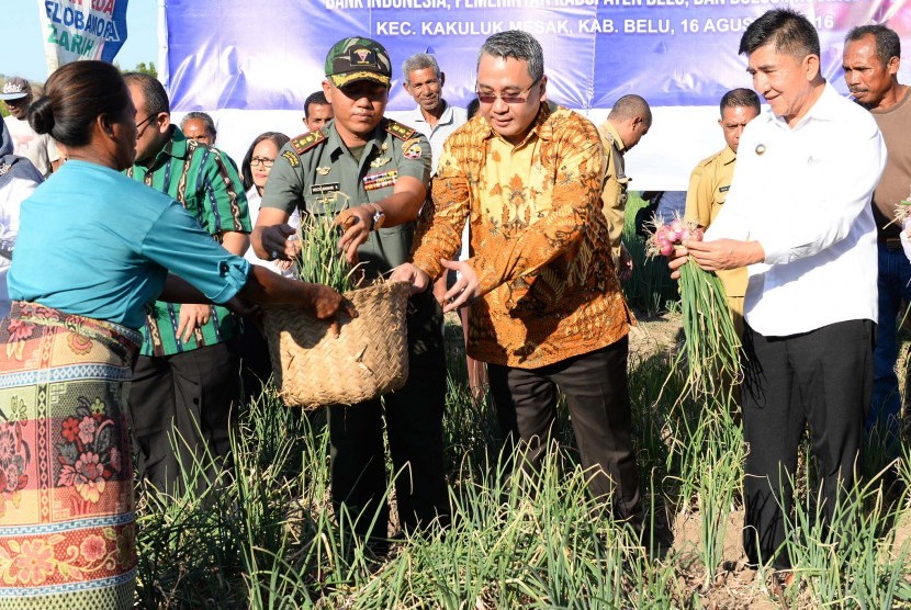 Menteri Desa, Pembangunan Daerah Tertinggal, dan Transmigrasi Eko Putro Sandjojo saat panen perdana bawang merah di Kecamatan Kakuluk Mesak, Kabupaten Belu, NTT, Selasa (16/8).