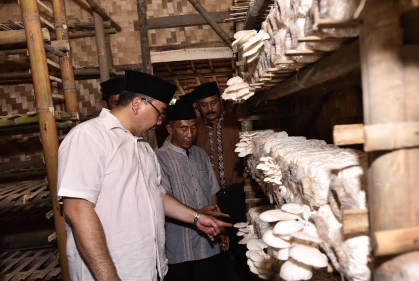 Menteri Desa, Pembangunan Daerah Tertinggal dan Transmigrasi (Mendes PDTT), Eko Sandjojo meninjau BUMDes dengan produk unggulan jamur tiram.