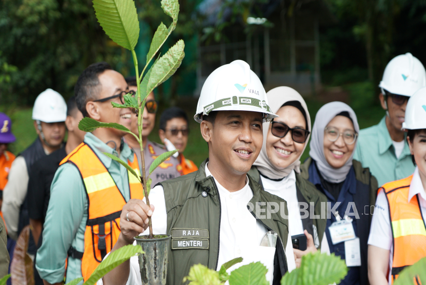 Dua Sistem Digital Ini Ubah Cara Pemerintah Kelola Hutan