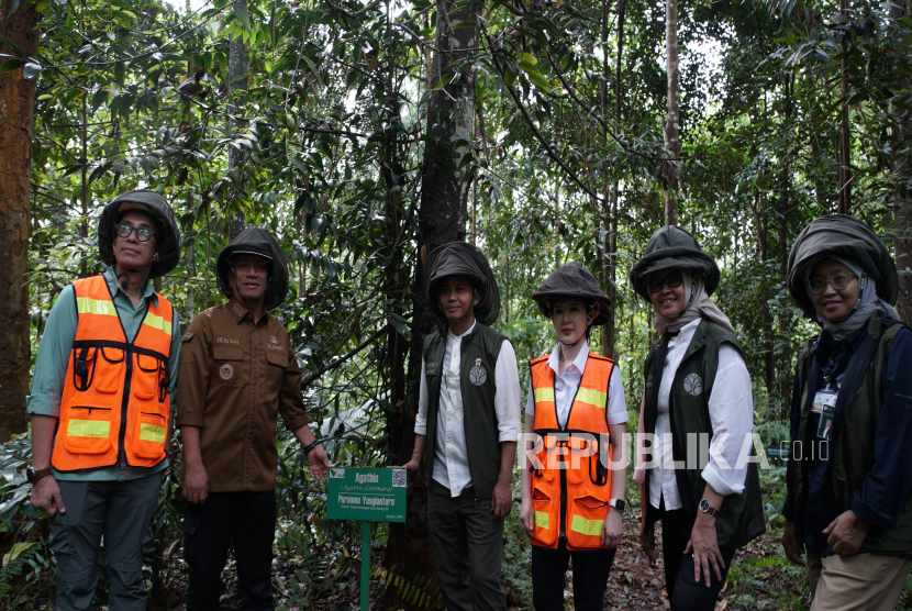 Menteri Kehutanan (Menhut) Raja Juli Antoni meninjau Bukit Himalaya, area eks tambang yang sudah direklamasi menjadi wilayah hutan di Sorowako, Kecamatan Nuha, Kabupaten Luwu Timur, Provinsi Sulawesi Selatan.