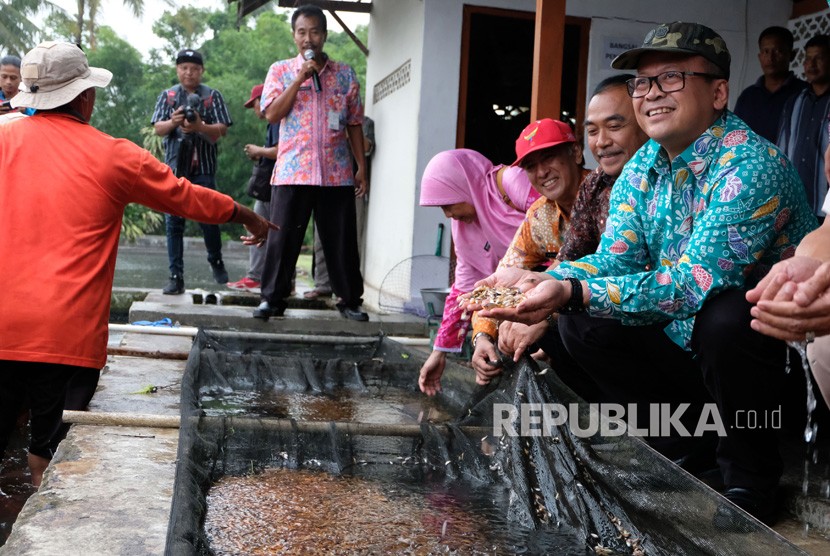  Menteri Kelautan dan Perikanan Edhy Prabowo mengatakan Kementerian Kelautan dan Perikanan (KKP) saat ini sedang mengkaji ulang berbagai aturan yang dipandang kurang menguntungkan bagi stakeholder. Foto:enteri Kelautan dan Perikanan Edhy Prabowo (kanan) menunjukkan benih ikan Nila saat mengunjungi Loka Perbenihan dan Budidaya Ikan Air Tawar (PBIAT) Ngrajek, Mungkid, Magelang.