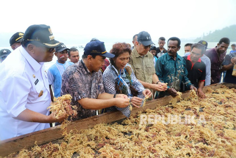 Menteri Kelautan dan Perikanan, Susi Pudjiastuti melakukan panen raya rumput laut di kampung Saharei Distrik Fakfak Timur Kabupaten Fak Fak, Papua Barat.