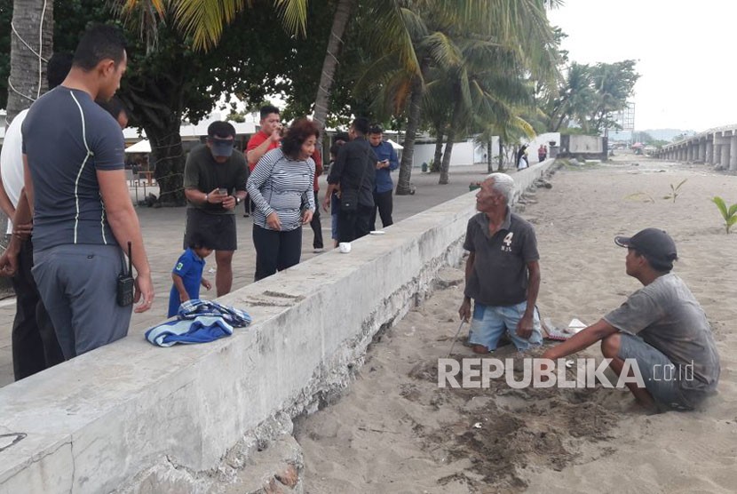 Menteri Kelautan dan Perikanan Susi Pudjiastuti temukan sarang tukik yang lokasinya persis di belakang hotel Pangeran Beach di Padang, Sumbar, Sabtu (10/2).