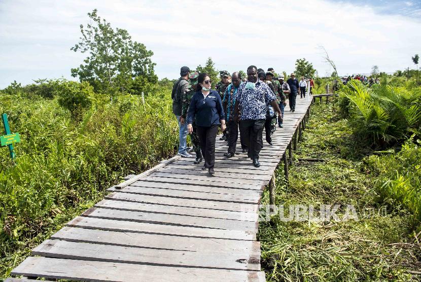 Menteri Kesehatan Nila DF Moeloek (kiri) didampingi Bupati Asmat Elisa Kambu (kedua kiri) melihat lahan yang akan dibangun rumah sakit di Agats, Kabupaten Asmat, Papua, beberapa waktu lalu.