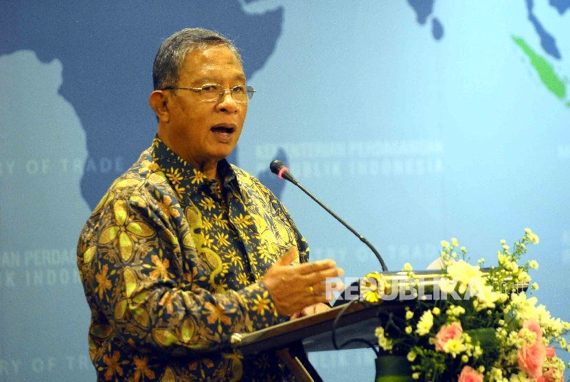 Coordinating Minister for Economic Affairs Darmin Nasution