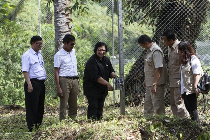 Menteri LHK Siti Nurbaya Bakar dan Gubernur Sumatra Barat Irwan Prayitno melepasliarkan harimau Sumatra di Dharmasraya, Sumbar, Sabtu (29/7).