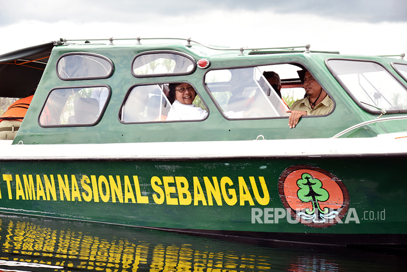 Menteri LHK Siti Nurbaya dan Direktur Eksekutif UN Environment berkunjung ke Taman Nasional Sebangau,  Kalimantan Tengah. 