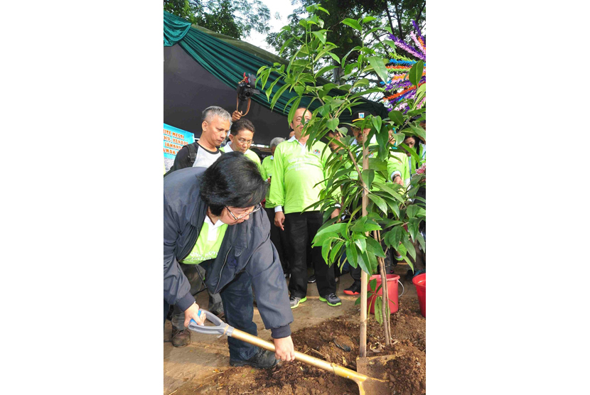 Menteri LHK Siti Nurbaya melakukan penanaman pohon di bantaran Ciliwung.