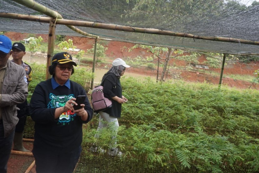 Menteri Lingkungan Hidup dan Kehutanan (LHK) Siti Nurbaya Bakar 