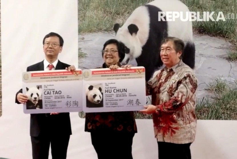 Menteri Lingkungan Hidup dan Kehutanan Siti Nurbaya Bakar (tengah) saat menyambut kedatangan sepasang Panda asal Cina.