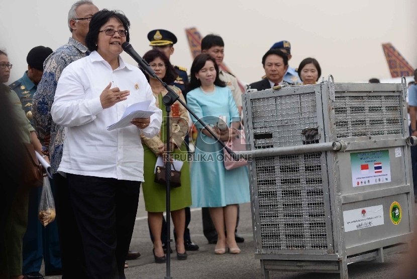 Menteri Lingkungan Hidup dan Kehutanan Siti Nurbaya menerima orang utan di Bandara Halim Perdanakusuma, Jakarta, Kamis (12/11).