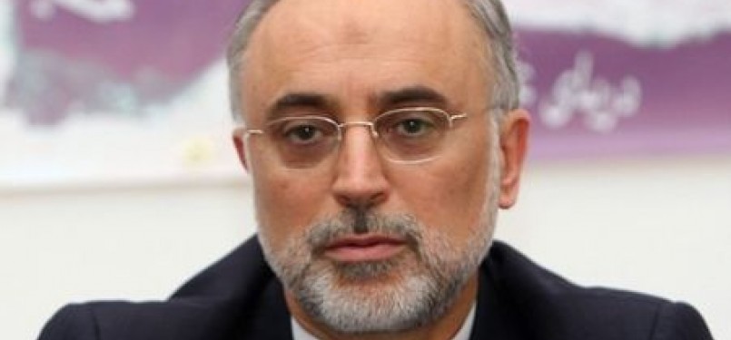 Menteri Luar Negeri Iran, Ali Akbar Salehi.