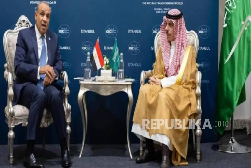 Mesir-Arab Saudi Bahas Gencatan Senjata dan Rekonstruksi Gaza