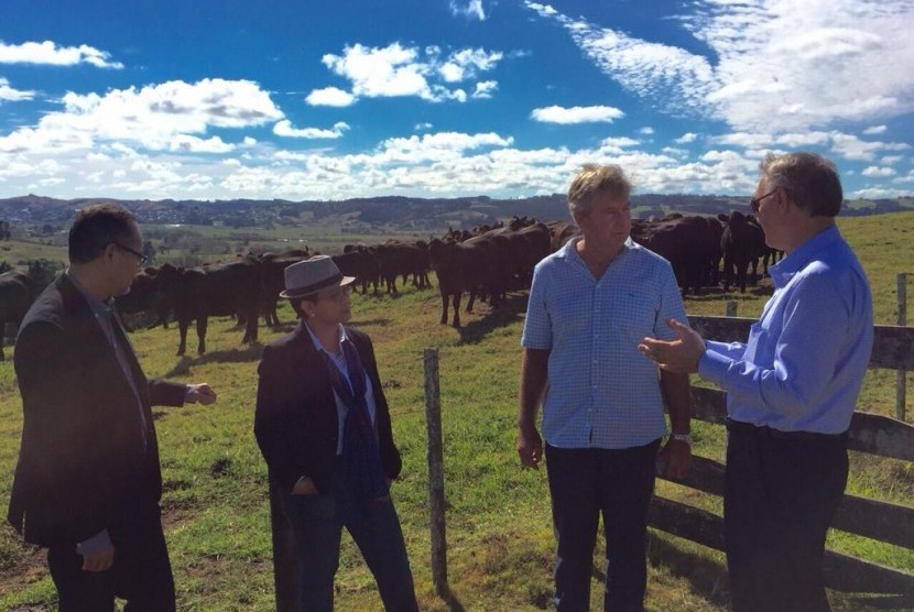 Menteri Luar Negeri Retno Marsudi saat mengunjungi peternakan Whenuanui Cattle Farm, di Helensivlle, Auckland, Selandia Baru, Senin (2/3) 2015 